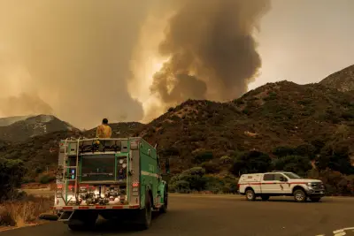 SoCal man ignited Line fire that scorched 44,000 acres, hurt 6 firefighters. He faces life term