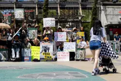 Judge denies emergency motion to stop transfer of L.A. Zoo elephants Billy and Tina